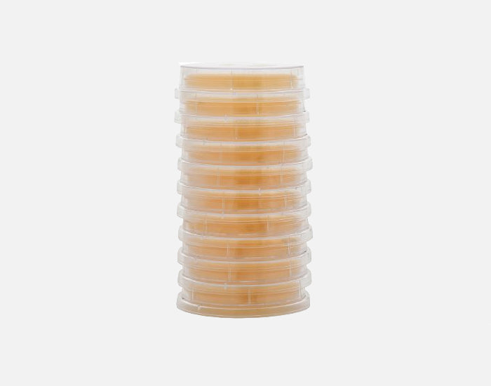 Sabdex (Sabouraud Dextrose) Agar, contact plate