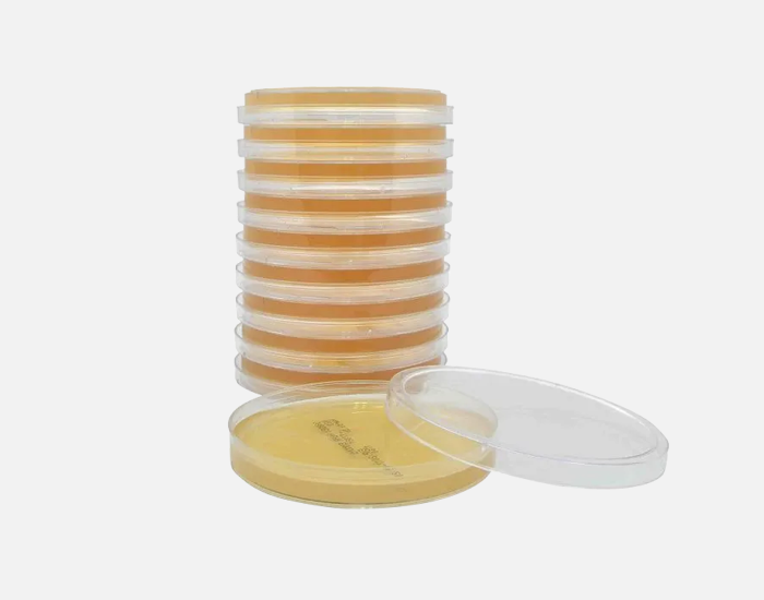 SterEM™ Sabouraud Dextrose Agar, (SabDex) Agar, USP